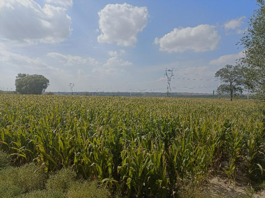 圖片1.png 圖片1.png