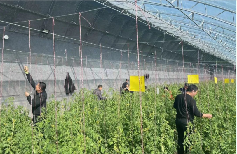 微信截圖_20220314154202.png 微信截圖_20220314154202.png