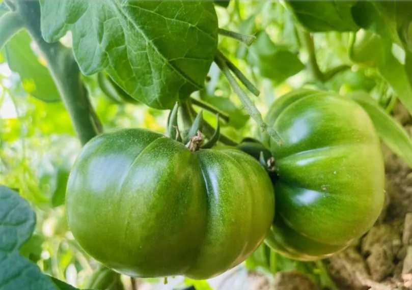 微信截圖_20220314154314.png 微信截圖_20220314154314.png