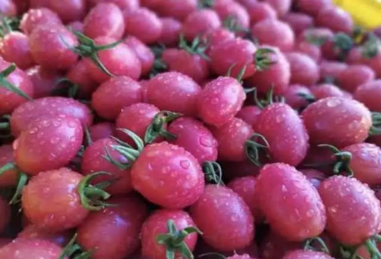 微信截圖_20220424084943.png 微信截圖_20220424084943.png