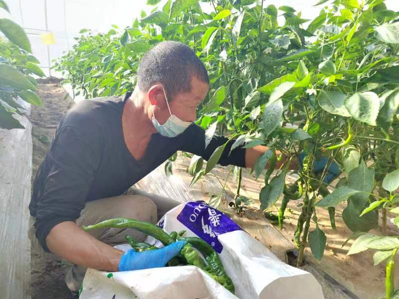 微信圖片_20221226214409.jpg 微信圖片_20221226214409.jpg